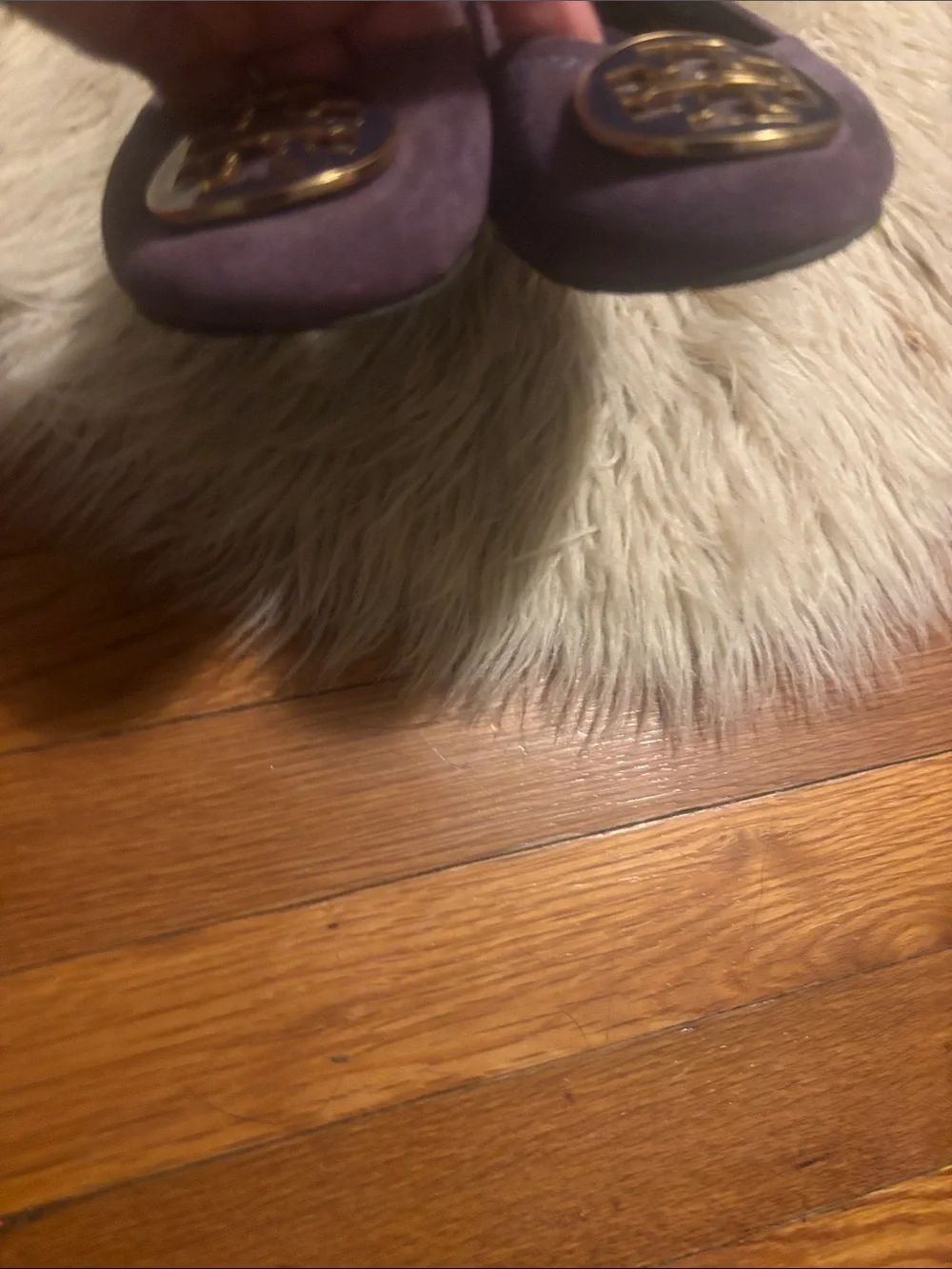 Tory Burch Plum Suede Ballet Flats with Gold Logo
